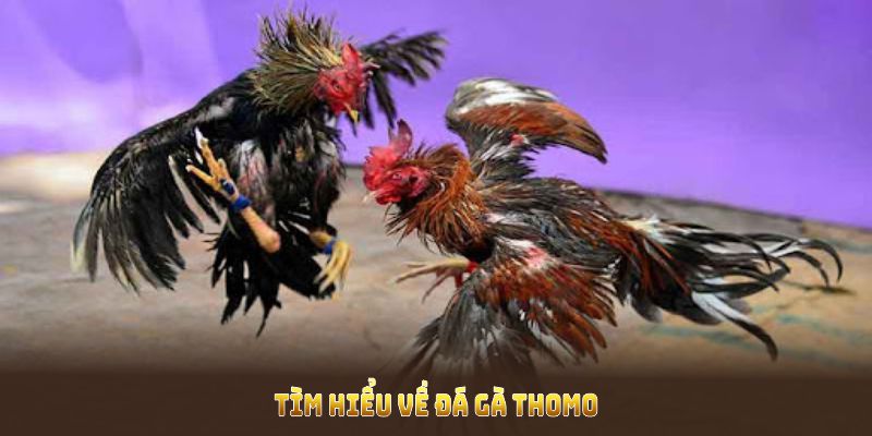 Thông tin cần nắm